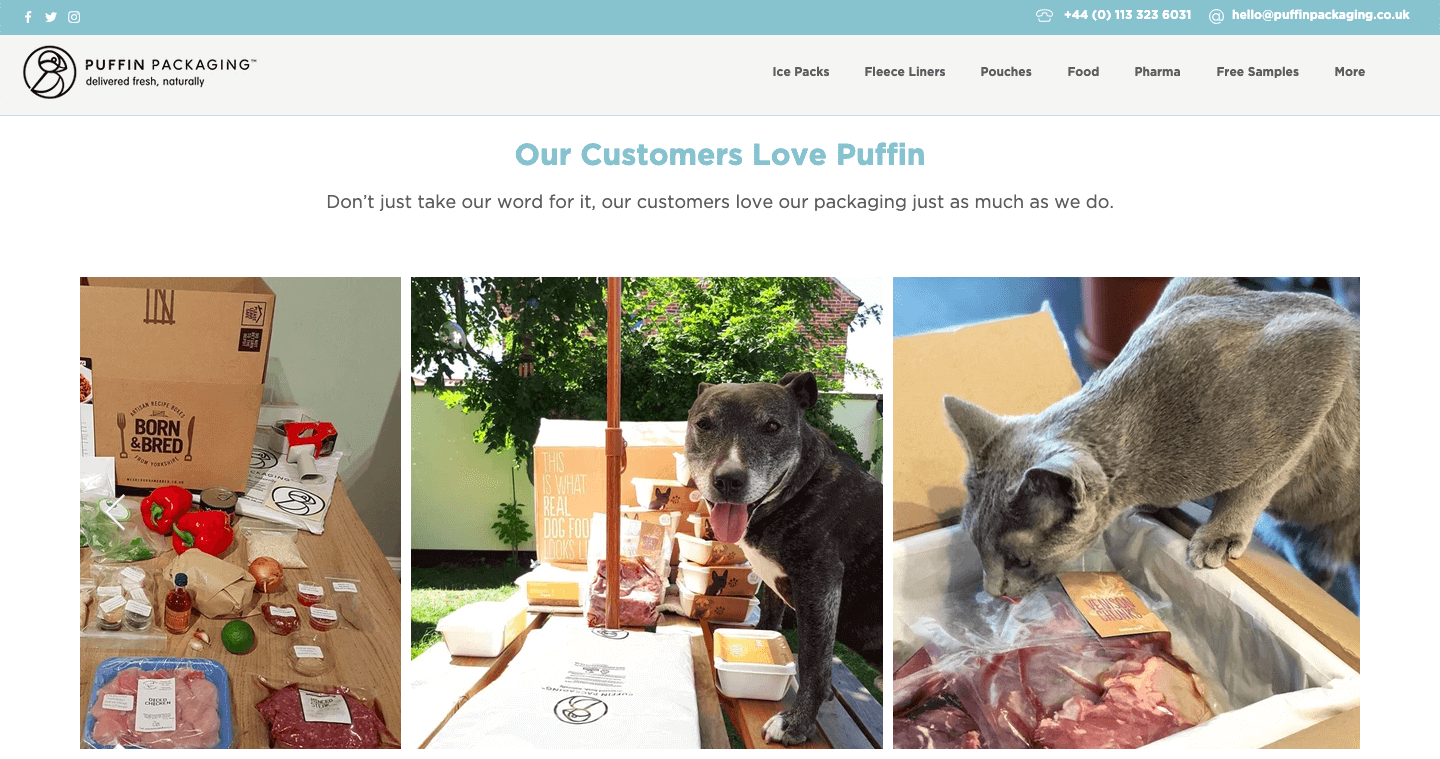 Puffin Packaging's User-Generated Content